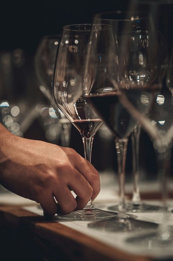 Degustavija vina s prigrizki